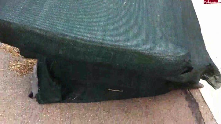 aische-pervers – Boxenluder treibt es wild