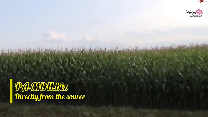 HollyBanks – Outdoor geil gepisst