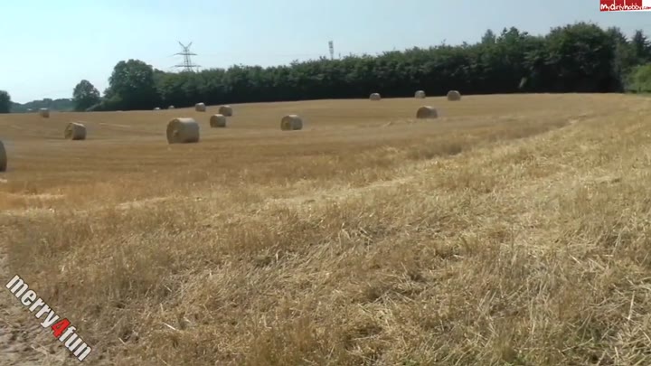 merry4fun – Retter in der Not