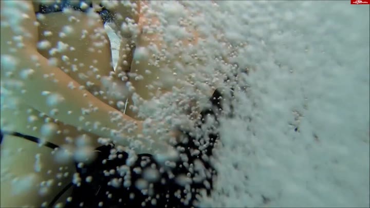 Betty-Baxter – Schwesterliches abwichsen