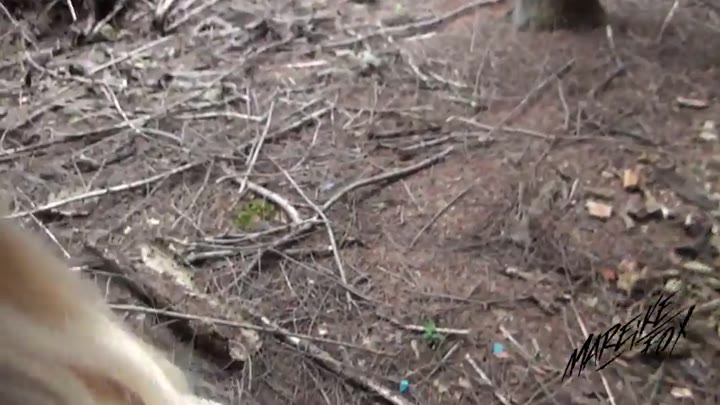 MareikeFox – Dreister Outdoor-Sex – Ficken für Pokemon