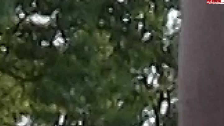 Parkplatzluder19 – Public AO Arschfick mitten auf dem Rastplatz