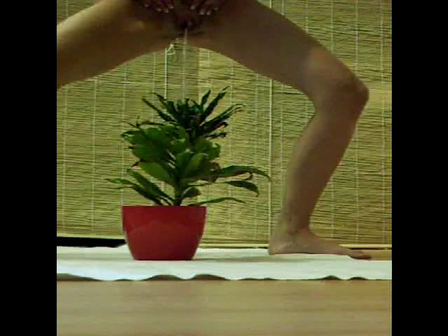 Arielle0103 – Pflanzenduengung