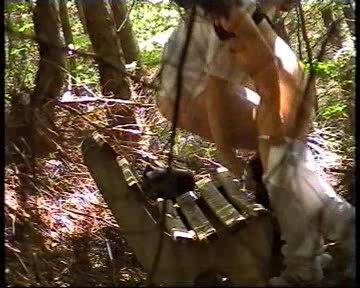 geilsaft – Im Wildpark gefickt