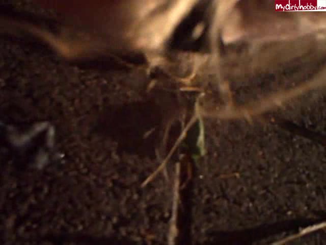 Edelnutte2009 – Straßensperma