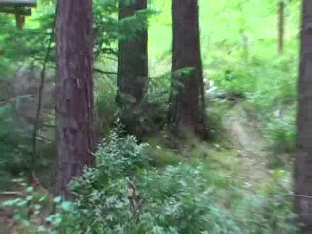 Monisworld – Missbraucht