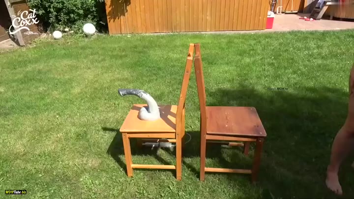 Cat-Coxx – Die perverse Reise nach Jerusalem