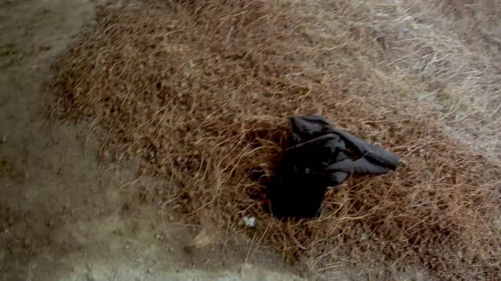 LandoRyder – Studentin Sirena PUBLIC an der Isar gefickt