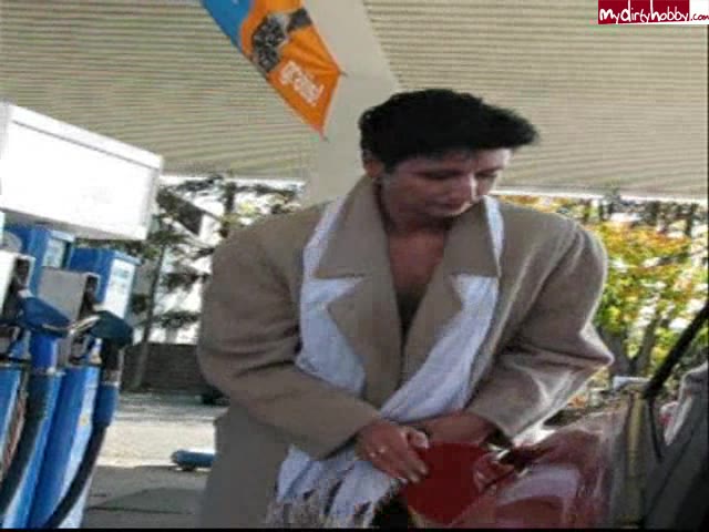 CatSphinx – Sunny Day