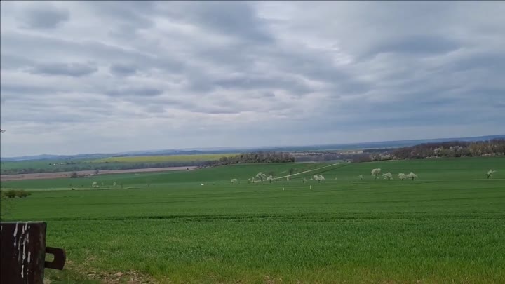 Sunny-Sin – JAEGERS HOCHSITZ GEIL MARKIERT