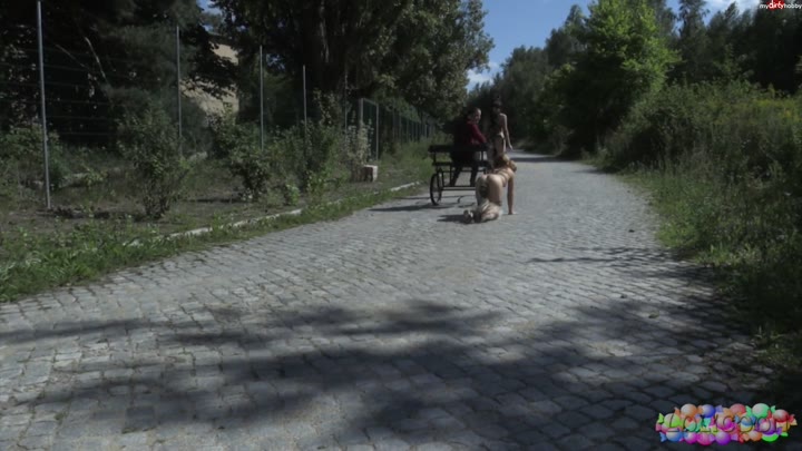 lolicoon – the pony cart