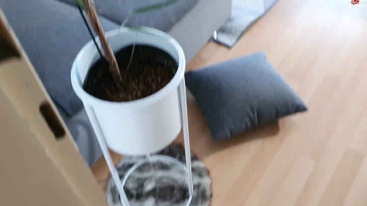 Tatjana-Young – Mein notgeiler Stiefbruder! Hat er das wirklich getan