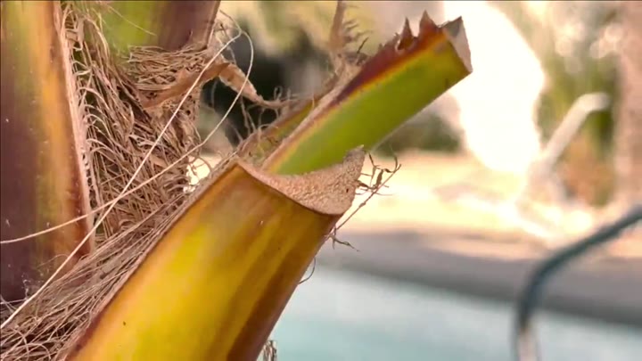 merry4fun – Spanner am Pool