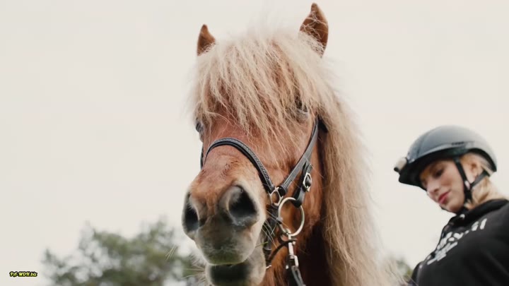 Visit-X – Unterwegs mit HannaSecret – Reitstunde von der Meister-Lehrerin