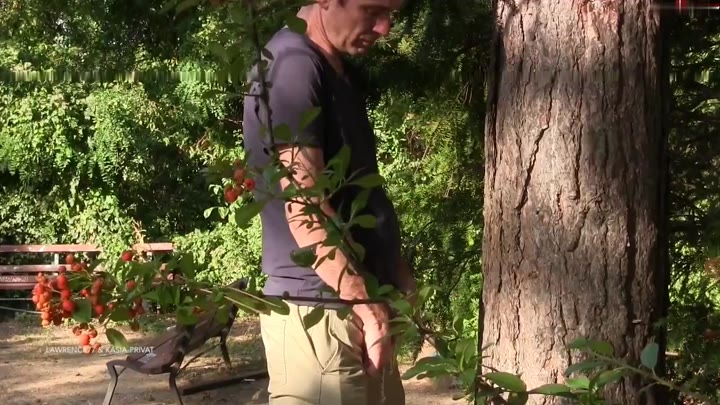 Lawrence77 – Erst pissen dann Schwanz sauber lecken