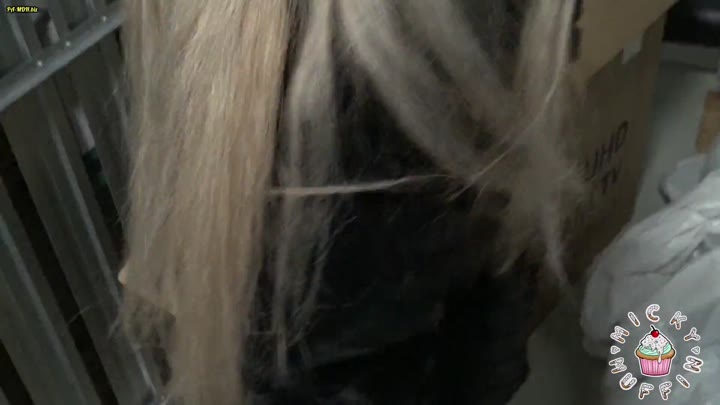Micky_Muffin – Hobbyhure bl aest sich durch die Nachbarschaft