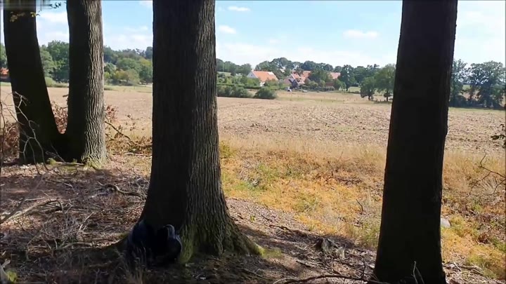 UserBitch – Am Waldrand gefickt