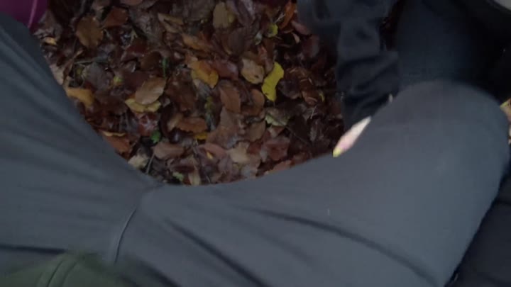 Mila-Hase – Hilfestellung der perversen Art – Iva und ich helfen wo wir können