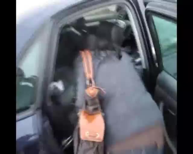 Studentin-Aneta – Monstertruckshow vs. Muschishow