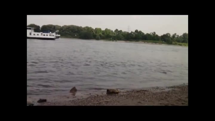 Fickschwanz1979 – Dreier am See