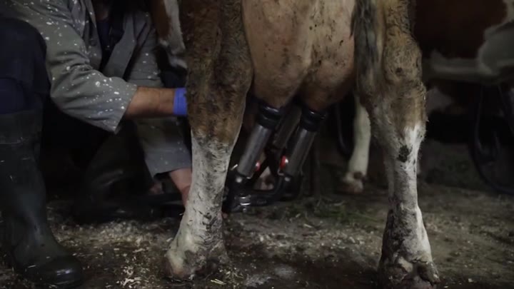 Lucy-C3t Tours – Folge 2 – Randale auf dem Staudamm