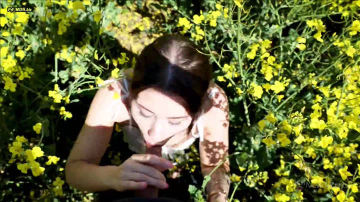 Melle-machts – Öffentliches Vergnügen – Blowjob im Rhapsfeld – Erwischt