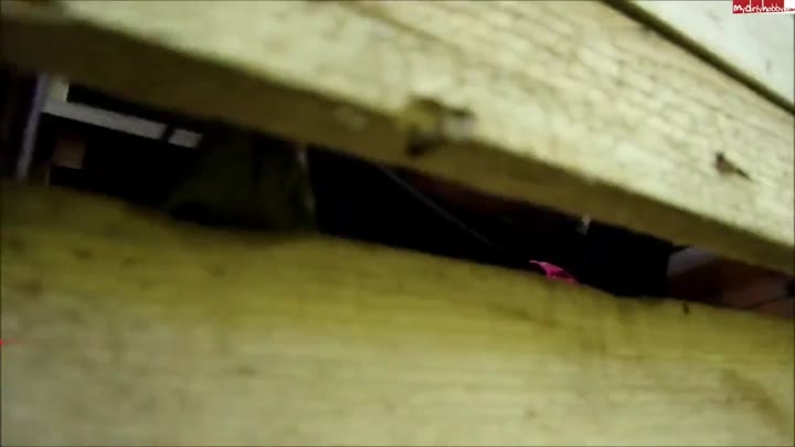 Lara-CumKitten – Vom Spanner auf Hochsitz ERWISCHT