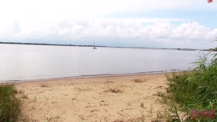 schnugg!e91 – Perverse Chefetage – Dreistes Ritual fuer Neulinge