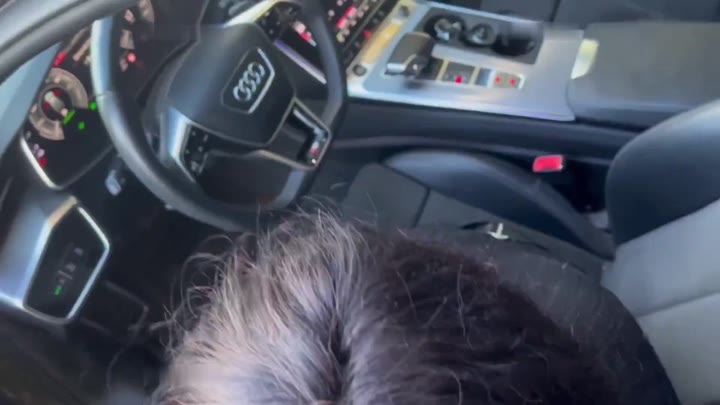 Scarlett-Kiss – RISKANT – Fremden Schwanz geblasen und abgefickt