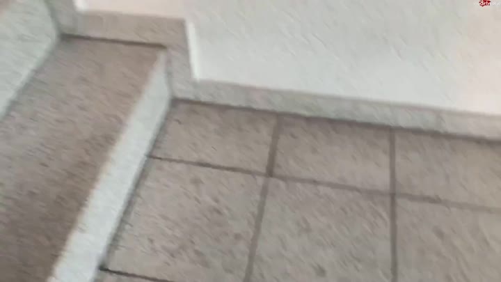 SteffiBlond – Firmenbüro markiert – Alles einmal angepisst – und die Blumen Gießen Danach fliegen sie