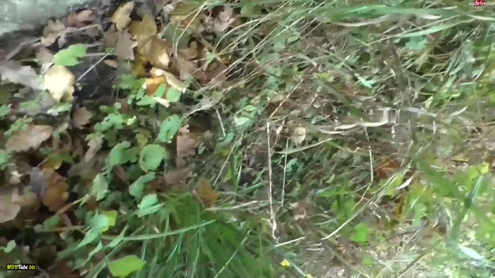 J3nny_St3lla – Schock – Hauptsache den Zuggaesten hat es gefallen