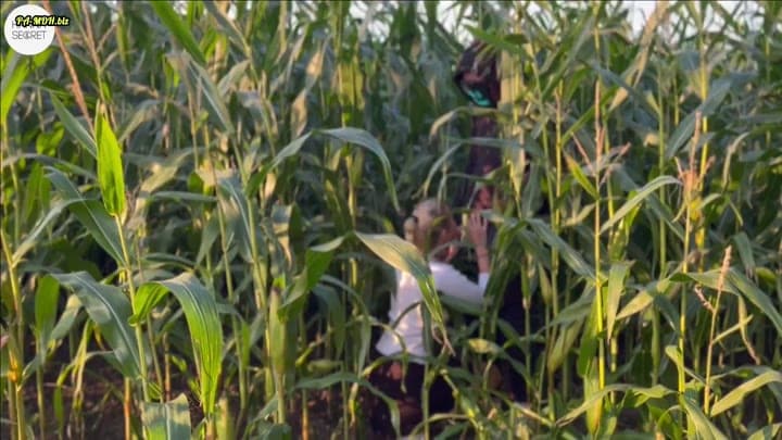 HannaSecret – ANONYMES HALLOWEENDATE IM MAISFELD