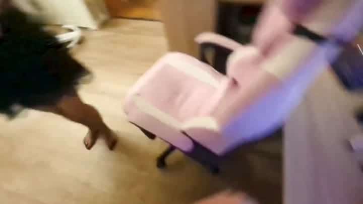 KassiaNovak – GESCHWÄNGERT – Stiefvater spritzt mir voll in meine Pussy… voll eskaliert