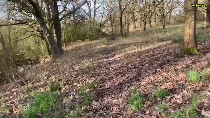 B!bixxx – GEILE SPRITZ-TOUR – OUTDOOR im Frühling