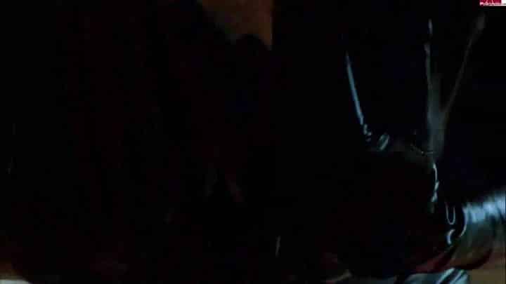 SexxStute – Heiße Latexfantasien