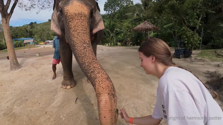 hermione_potter – Koh Tao & Koh Samui, Thailand VLOG Part 3
