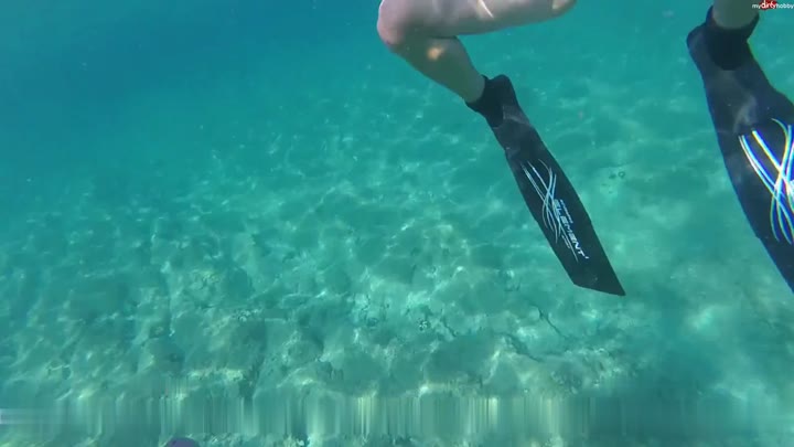 HornyRoxy – Cumshot Freediver