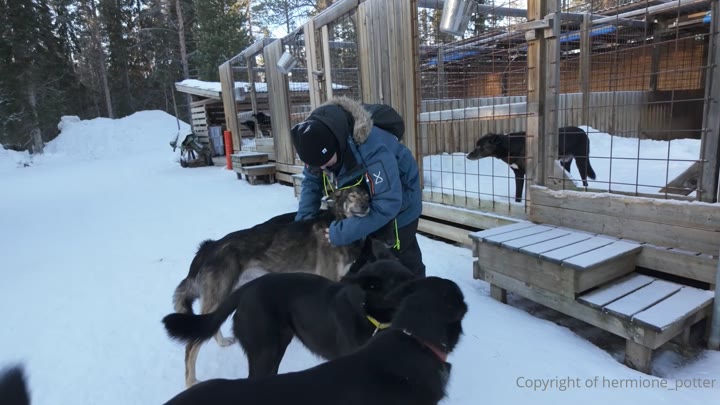 hermione_potter – Swedish Lapland Kiruna Vlog – Hermiones in heaven