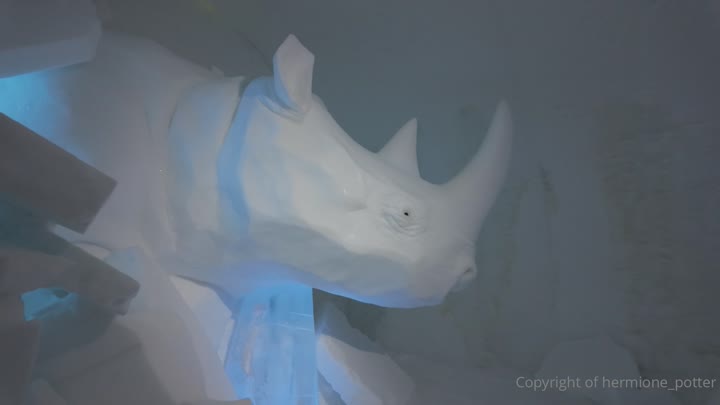 hermione_potter – Swedish Lapland Kiruna Vlog – Ice Hotel