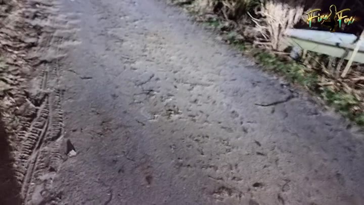 Fire_Fox – Mein erster Pissclip Outdoor