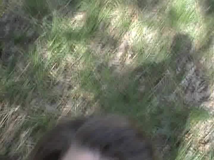 SweetChiara – Im Wald