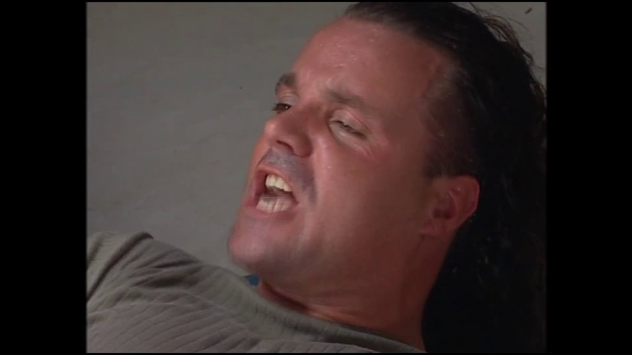 Purzel Official – Arsch tester