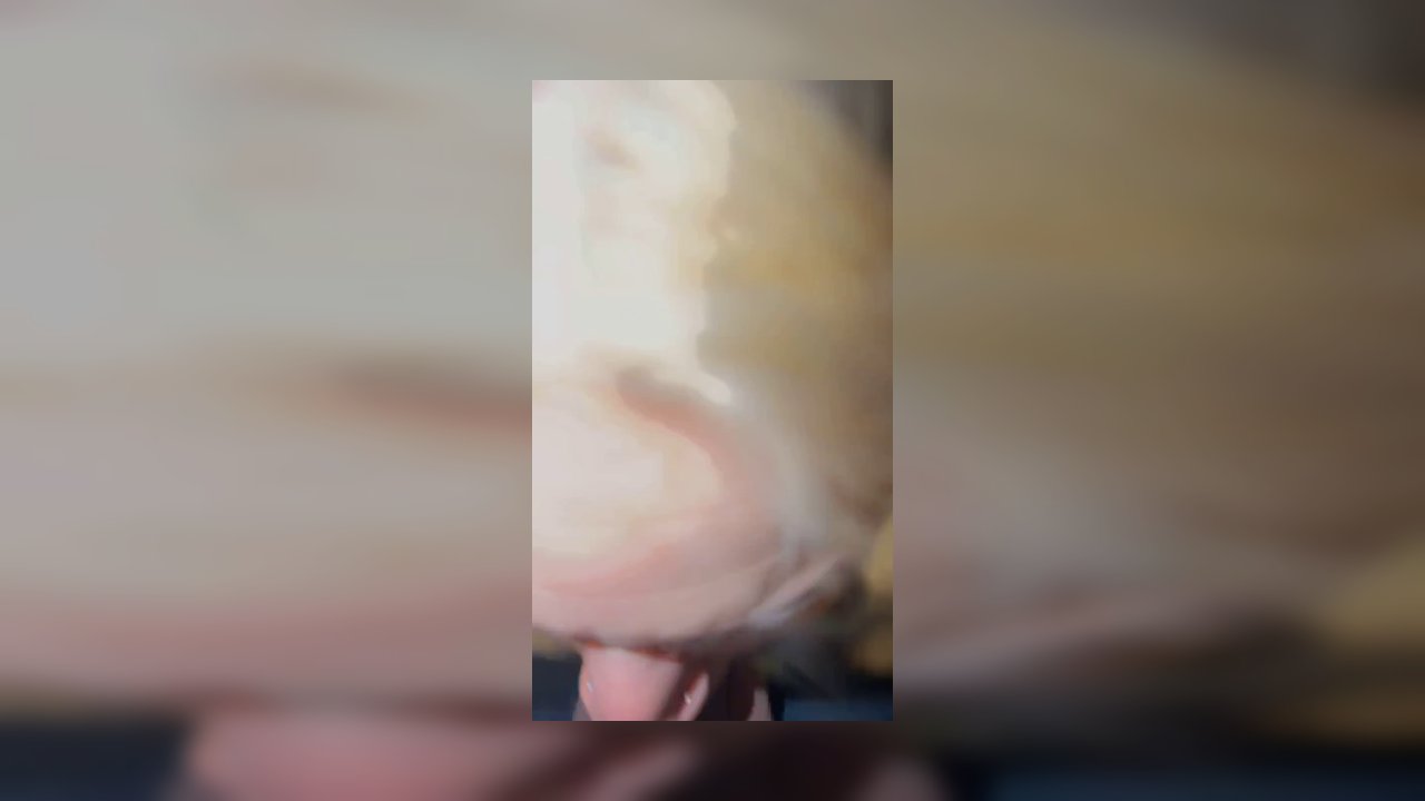 InkByTscheii – Muss Ja Keiner Wissen