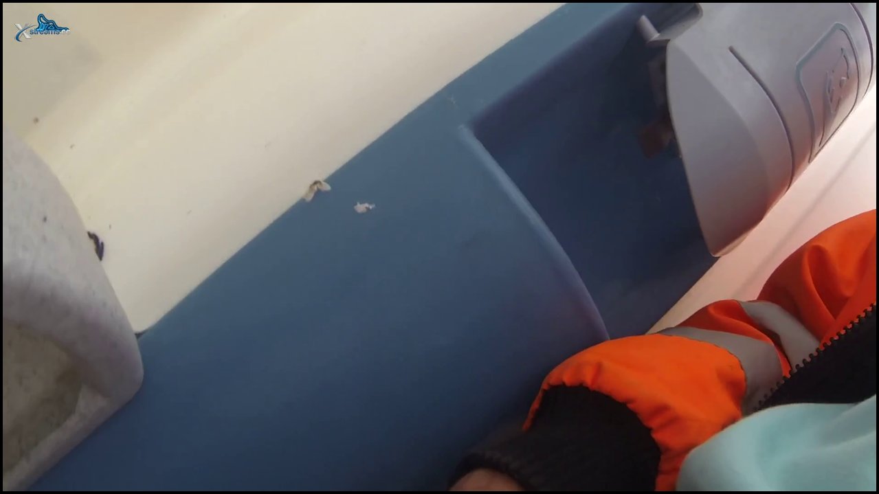 BimanHH – Pissen in der Bautoilette